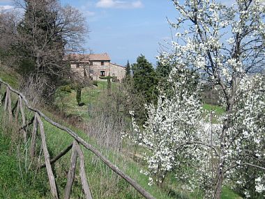 Fonte Rucola - Casa Carolina
