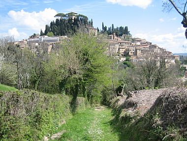 cetona - Casa Carolina