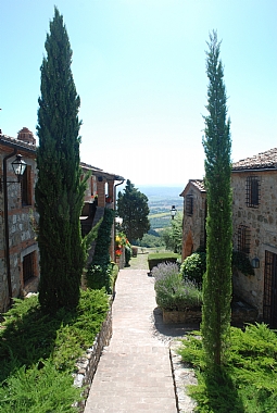 the house - Casa Carolina