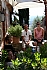 the house - Casa Carolina